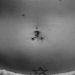 Prints-For-Sale - Navel Project - 30704
